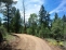 new driveway on property no image