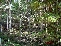 great variety of trees and bushes! no image