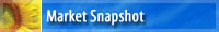 Market Snapshot