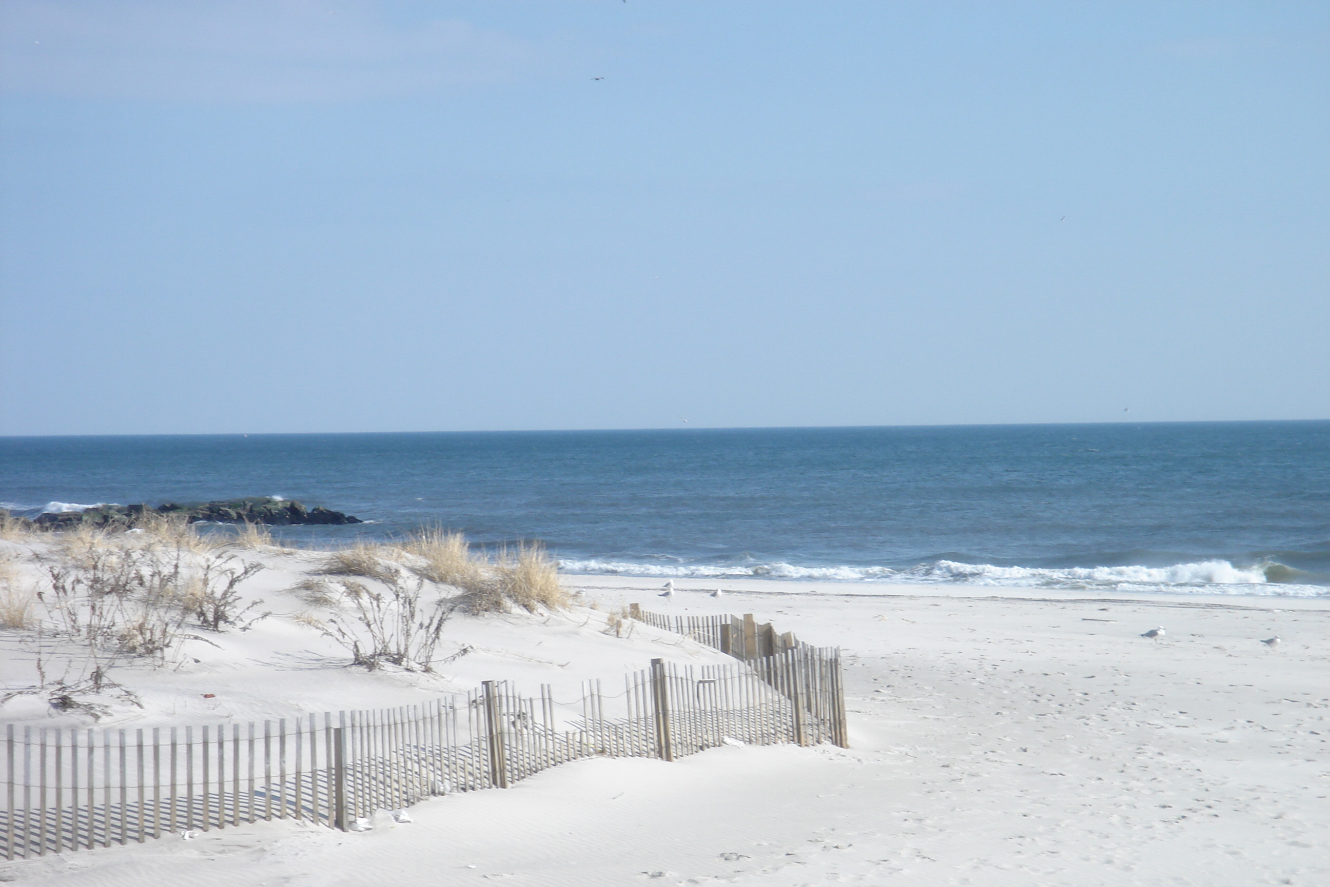 Lido Beach Dunes