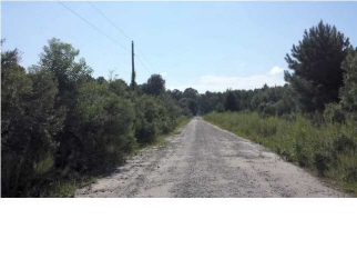 Lot 6 Chisolm Road, Johns Island, SC, 29445 United States