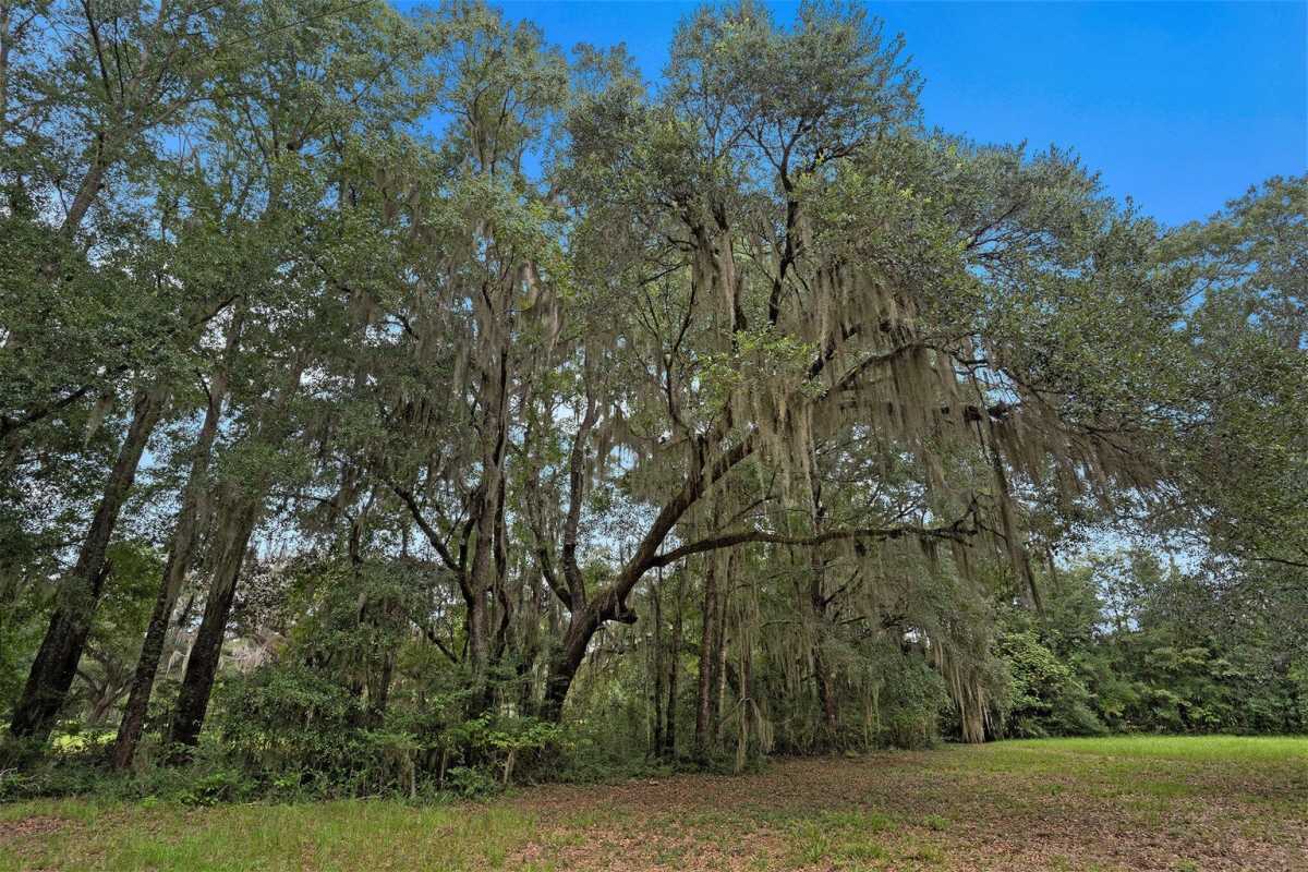 7817 Little Britton Road, Meggett, SC, 29449 United States
