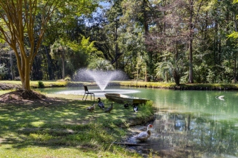 5568 Jenks Montgomery Road, Ravenel, SC, 29470 United States