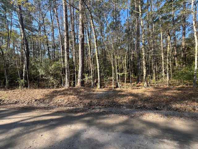 Lot #3 Old Military Road, Adams Run, SC, 29426 United States
