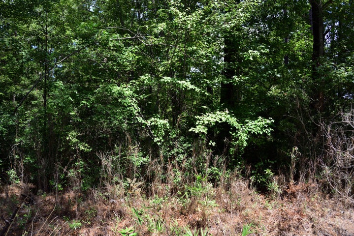 0 Cherry Hill Road, Hollywood, SC, 29449 United States