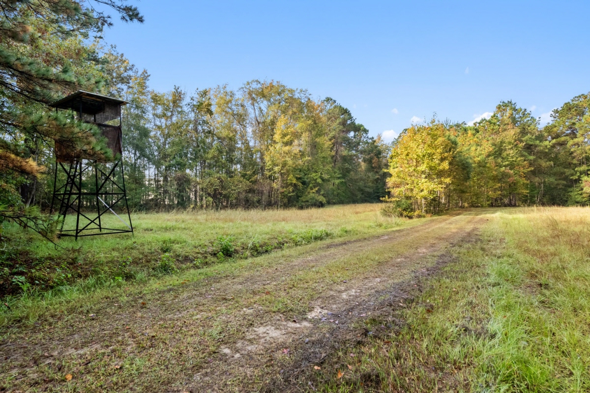 527 Acres Spring Grove Road, Adams Run, SC, 29426 United States