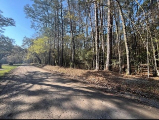 0 Willtown Road, Adams Run, SC, 29426 United States