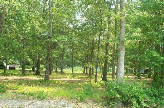 Lot 25 Cecil Street, Bethel, NC, 27812