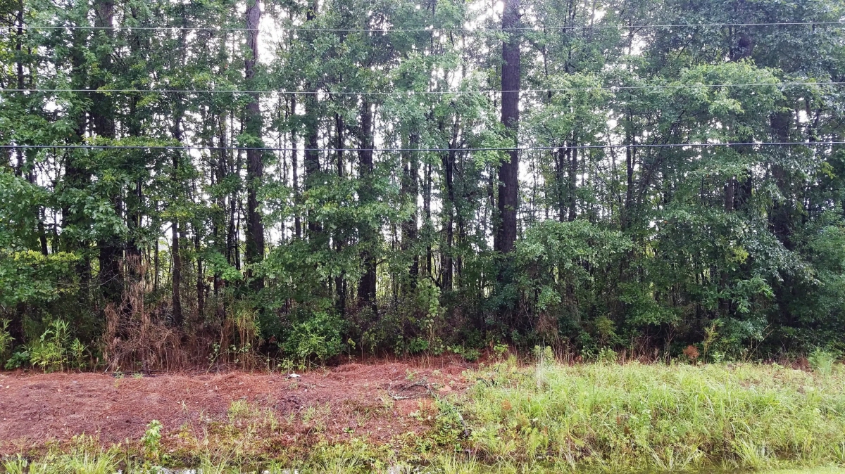 6 1558 Ellwood Drive, Greenville, NC, 27834