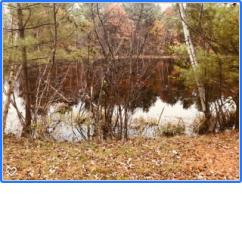 87.05 Acres Town of Rudolph, Wisconsin Rapids, WI, 54495 United States