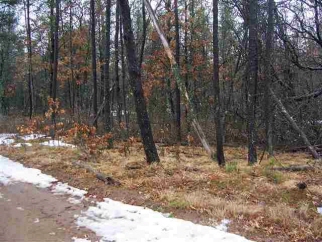 53 Acres MOL on Adams Avenue, Nekoosa, WI, 54457