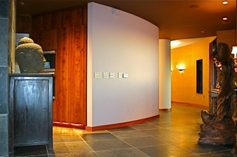 125 N. Hamilton St., Unit 1105, Madison, WI, 53703 United States