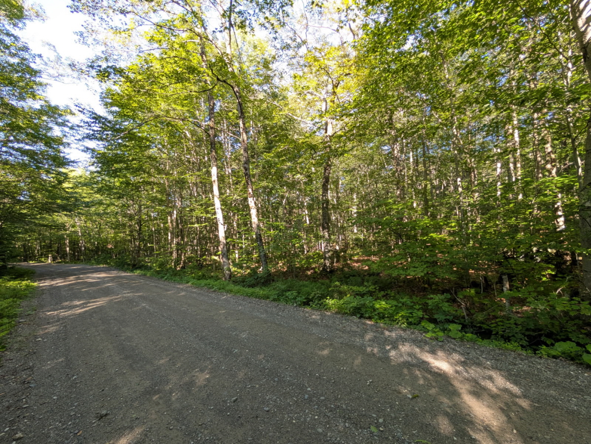 Highland Drive Lot #3, Montgomery, VT, 05471 United States