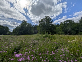 2032 VT Route 242, Jay, VT, 05859 United States