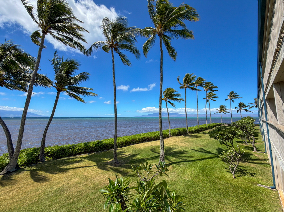 A203 7146 Kamehameha V Hwy, Kaunakakai, HI, 96748 United States