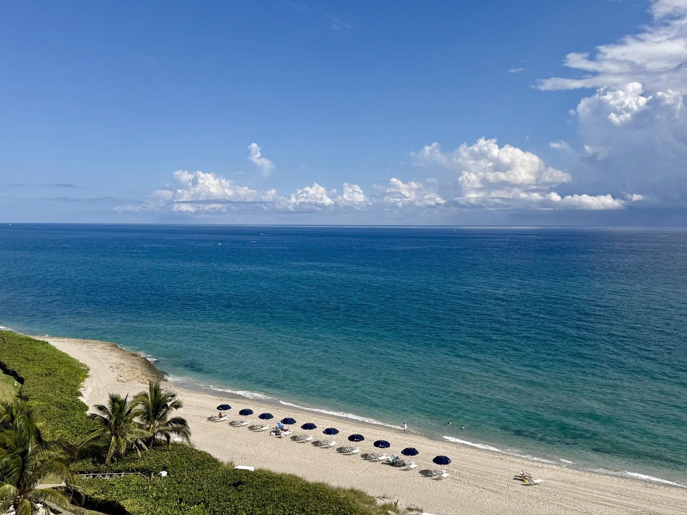 550 S. Ocean Blvvd. #1001, Boca Raton, FL, 33432 United States