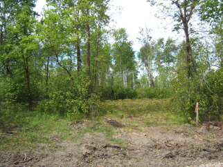 Hidden Bay Estates, Bottineau, ND
