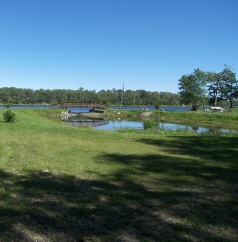 Lot 13 Halstead Addition, Bottineau, ND