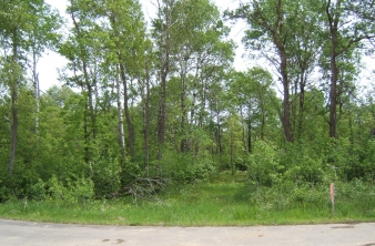 Birchwood Bay, Bottineau, ND
