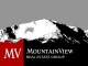 Mountain View Real Estate Group LLC