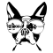 Dog River Real Estate